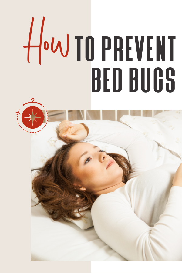 how-to-prevent-bed-bugs